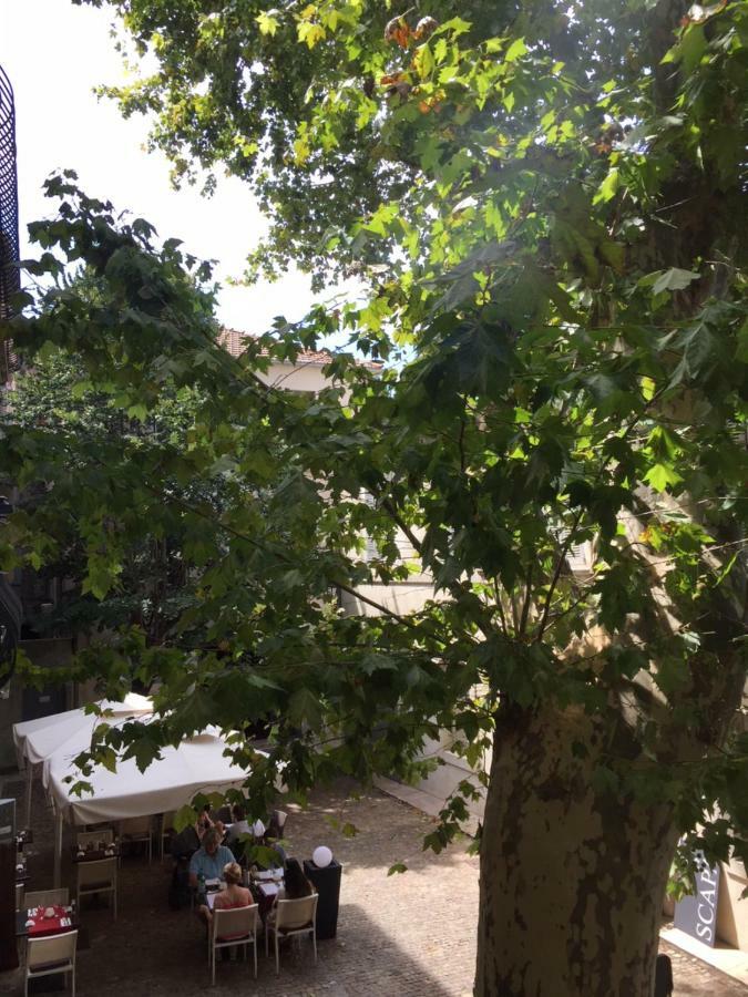 Studio Plaisance Avignon Exterior foto