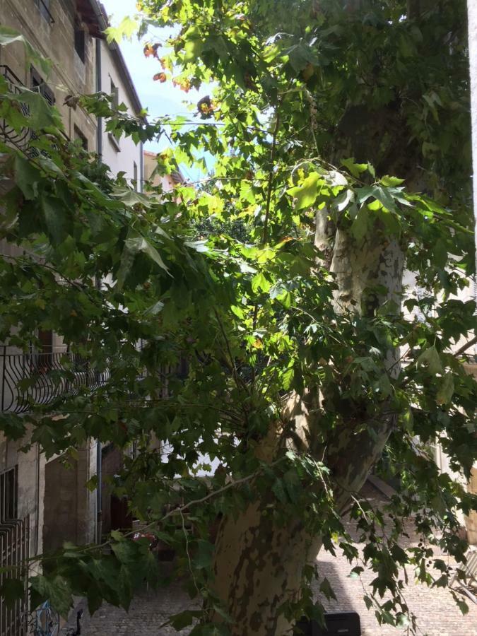 Studio Plaisance Avignon Exterior foto